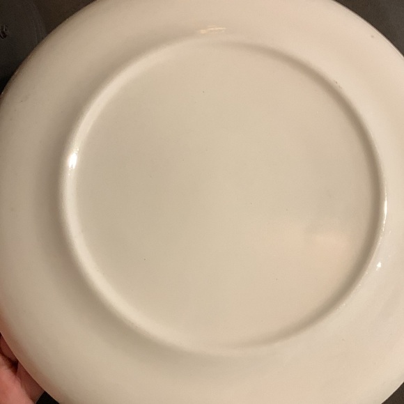 Vintage 60s State of Virginia Tourist Souvenir Ceramic Collector Display Plate - Picture 10 of 16